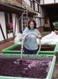 28-Rotwein-Maische